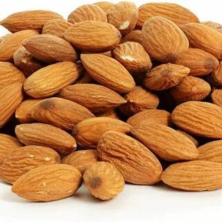 تصویر 3 از قیمت و خرید بادام درختی تلخ + فروش ارزان